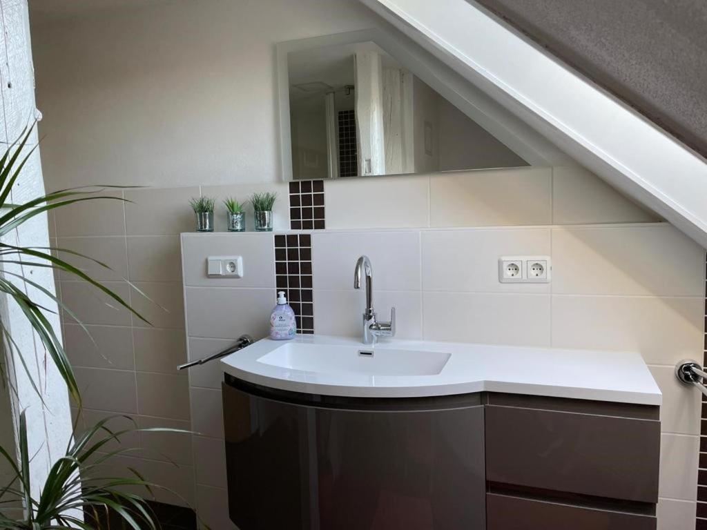 Ferienwohnung Kreft Thale Exterior foto